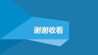 高效精简市场调研指南