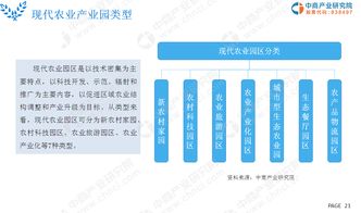 2019年现代农业市场深度调研与未来发展前景研究报告